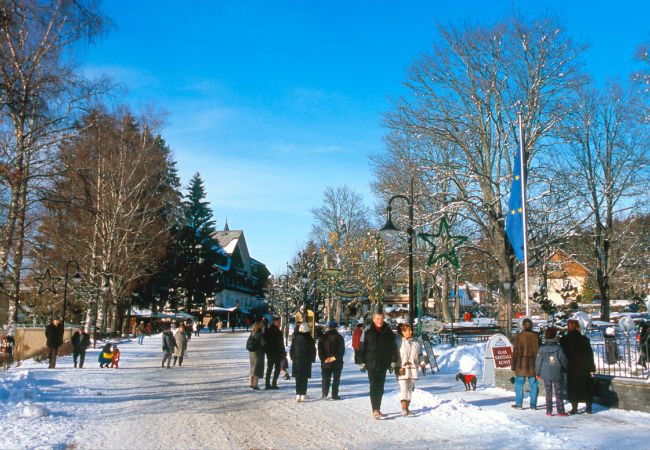 Schwarzwälder Weihnachtszauber im Breisgau